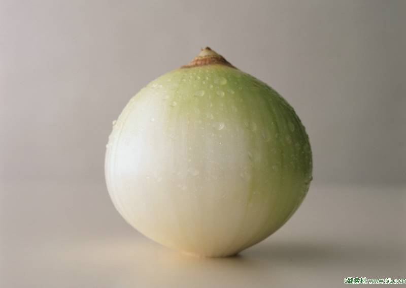 Onion Freeze-dried Powder