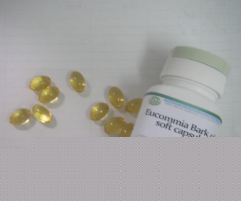 Wheat Germ Oil Soft Capsule