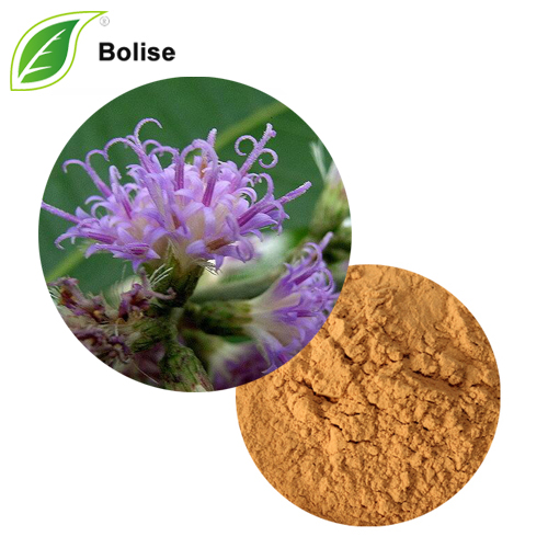 Vernonia Extract