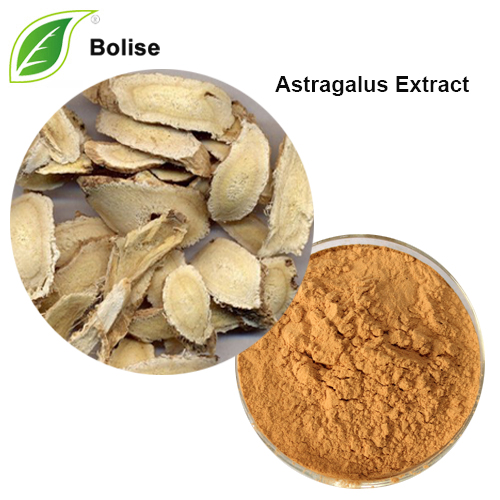Astragalus Extract