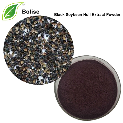 Black Soybean Hull Extract Powder