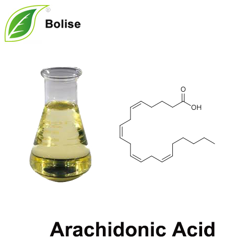 Arachidonic Acid