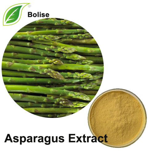 Asparagus Extract