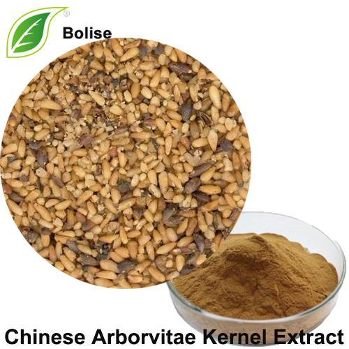 Chinese Arborvitae Kernel Extract
