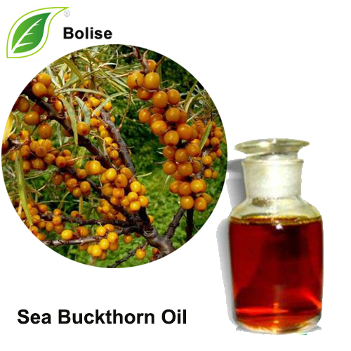 Sea buckthorn oil