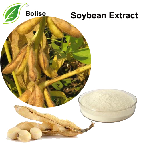 Soybean Extract