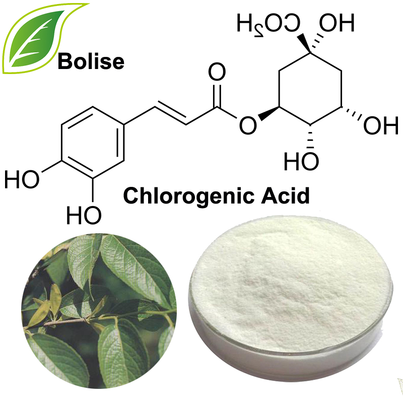 Chlorogenic Acid