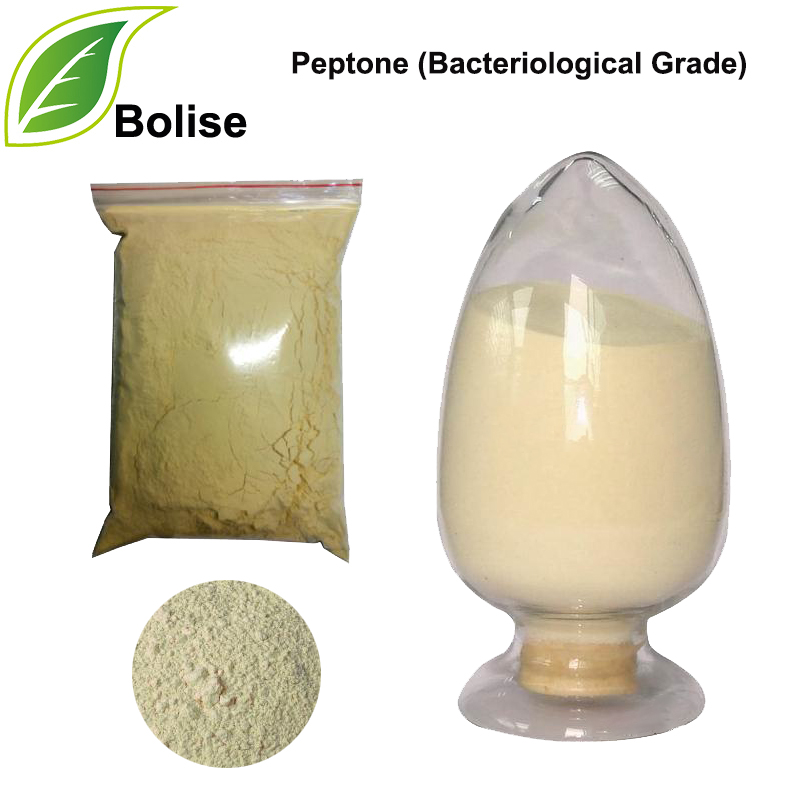 Peptone (Bacteriological Grade)