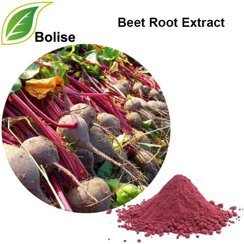 Beetroot Extract