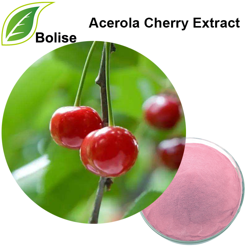 Acerola Cherry Extract (Vc 25%)