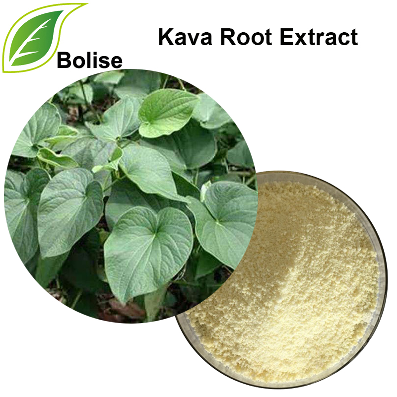 Kava Root Extract