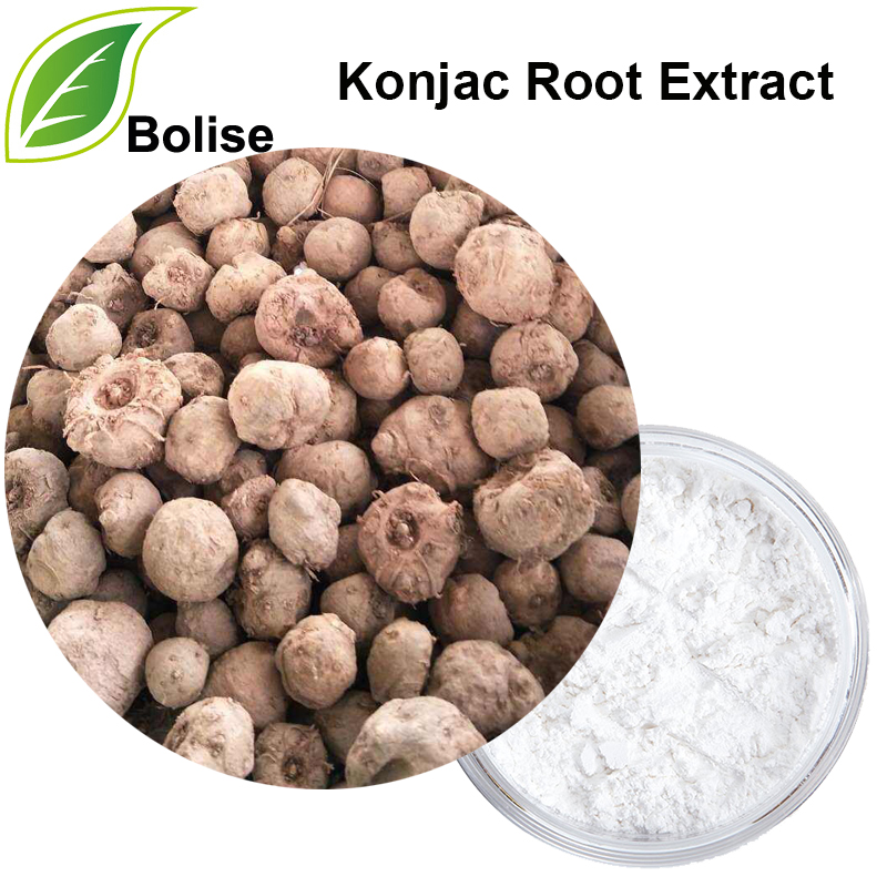 Konjac Root Extract