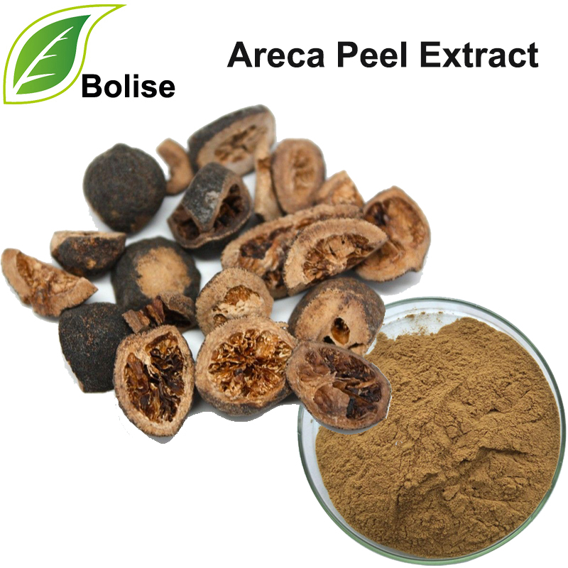 Areca Peel Extract(Pericarpium Arecae Extract)