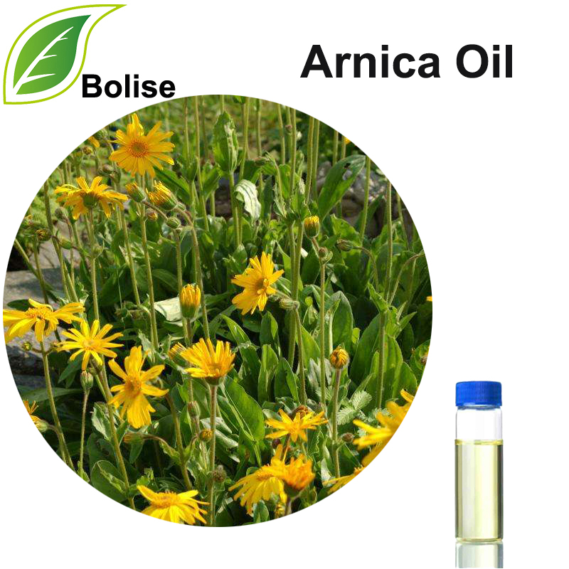 Arnica Oil