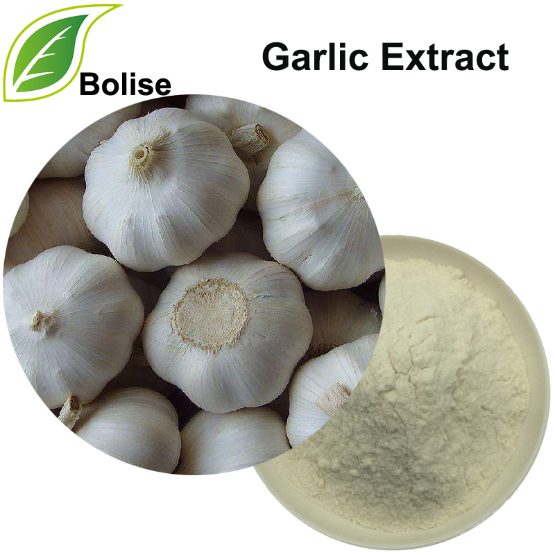 Garlic Extract