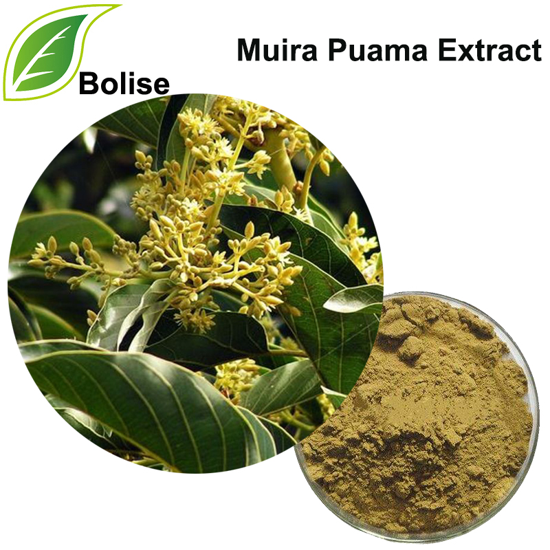 Muira Puama Extract