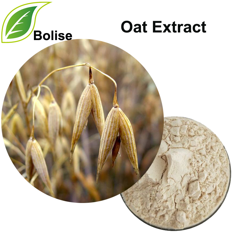 Oat Extract
