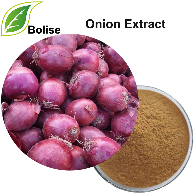 Onion Extract