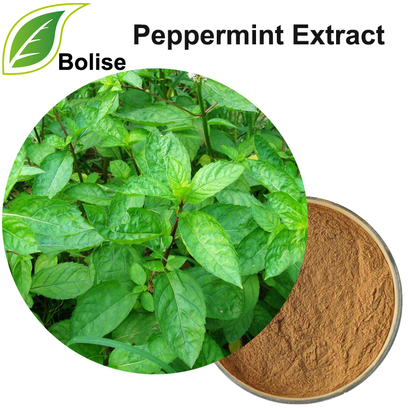 Peppermint Extract