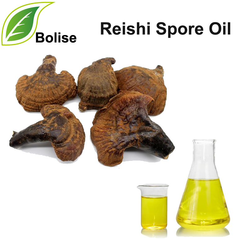 Reishi Spore Oil