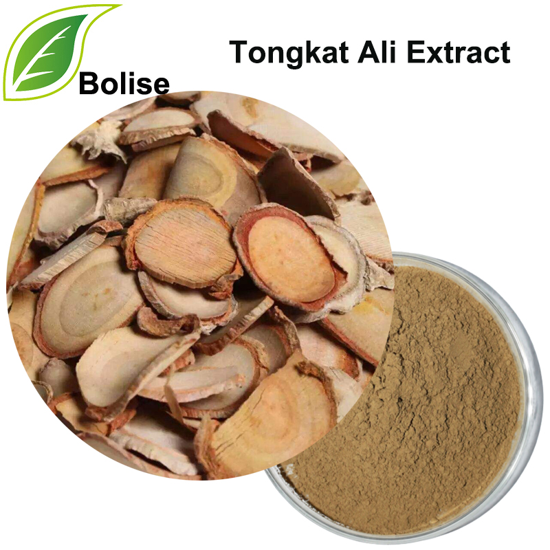 Tongkat Ali Extract