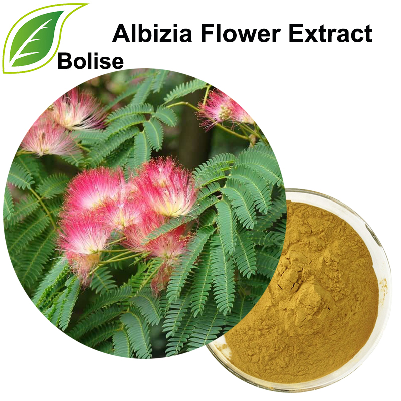 Albizia Flower Extract(Flos Albiziae Extract)