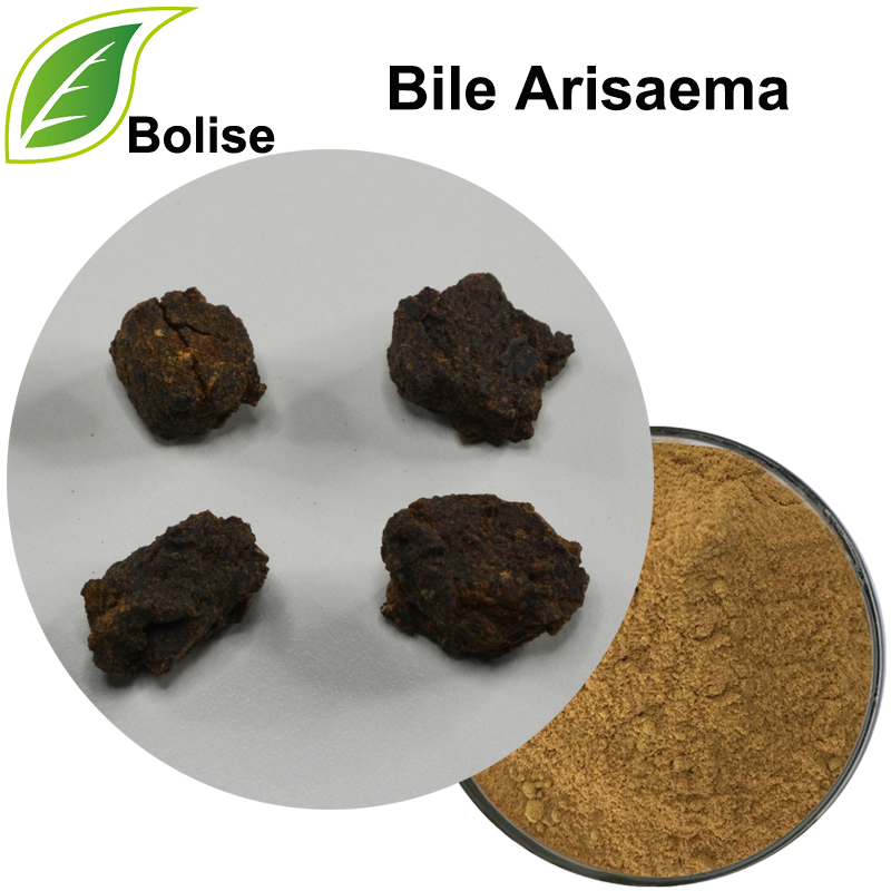 Bile Arisaema Extract