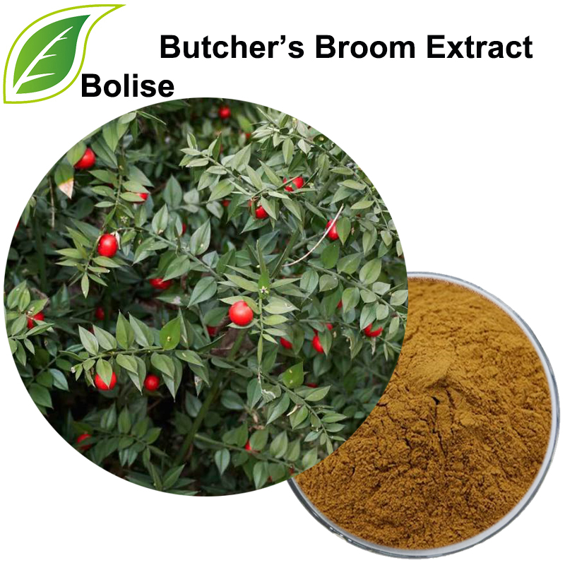 Butcher’s Broom Extract