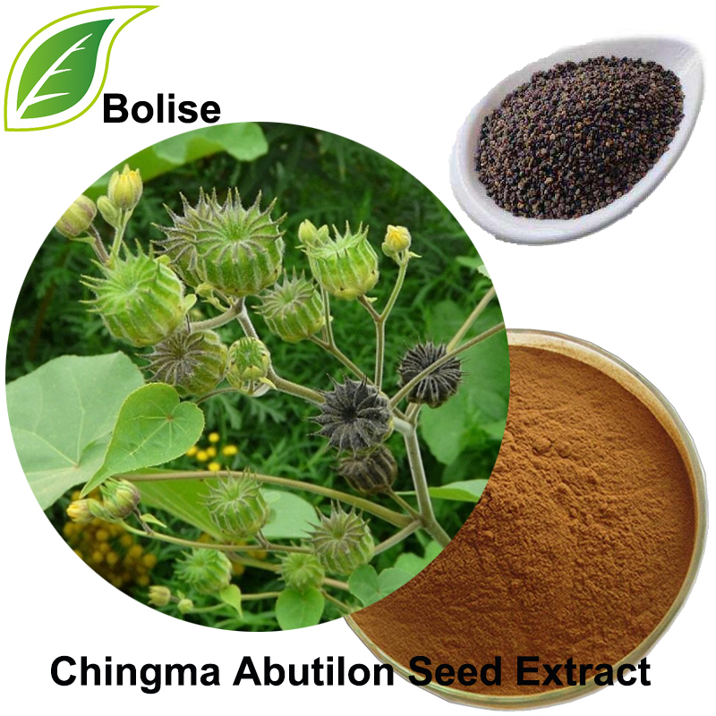 Chingma Abutilon Seed Extract(Semen Abutili Extract)