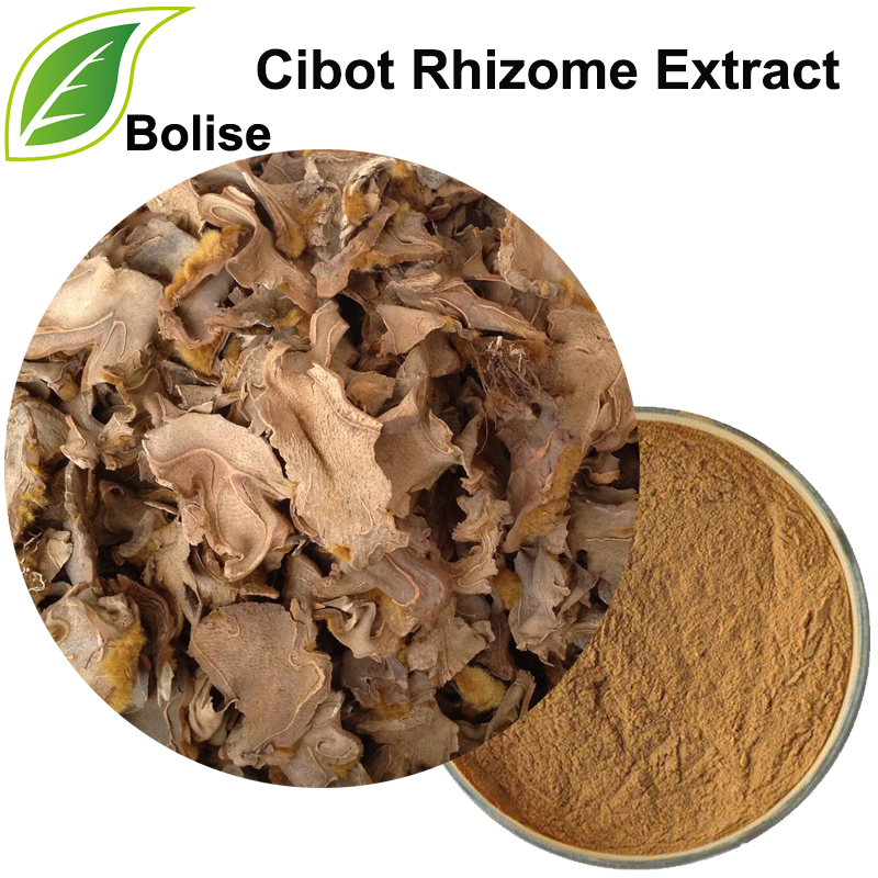 Cibot Rhizome Extract(Rhizoma Cibotll Extract)