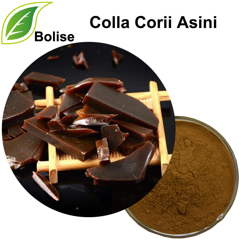 Colla Corii Asini Extract(Donkey-hide Glue)