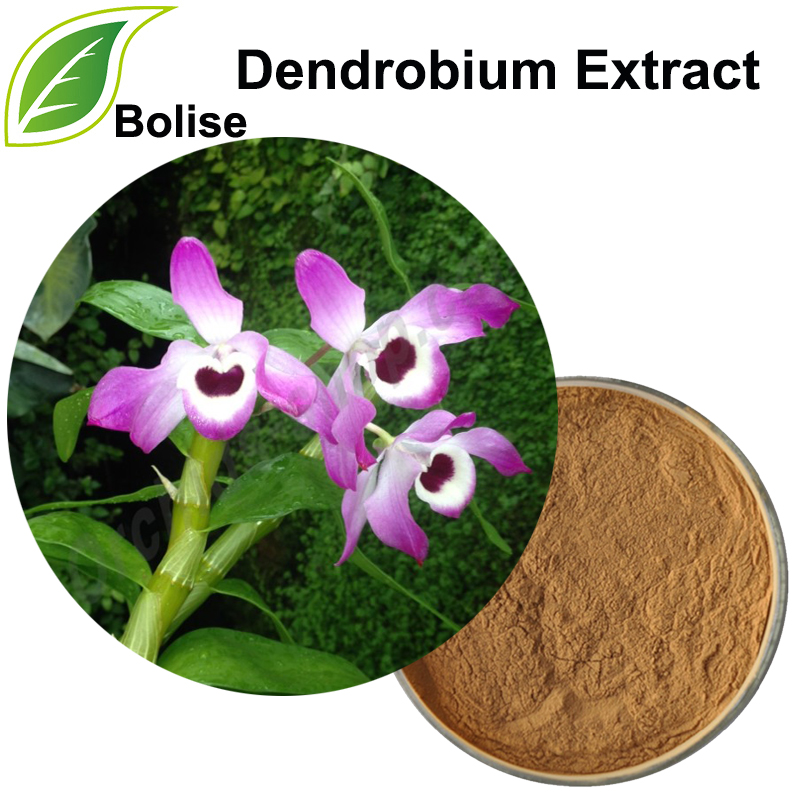 Dendrobium Extract(Herba Dendrobii Extract)