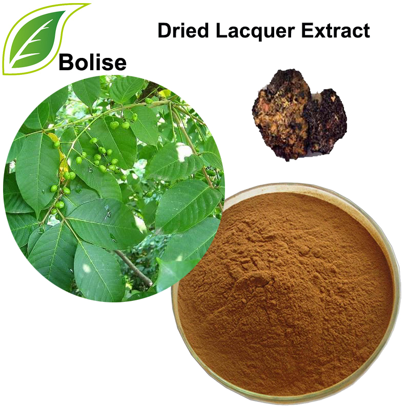 Dried Lacquer Extract(Resina Toxicodendri Extract)