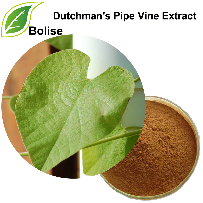 Dutchman's Pipe Vine Extract(Herba Aristolochiae Extract)