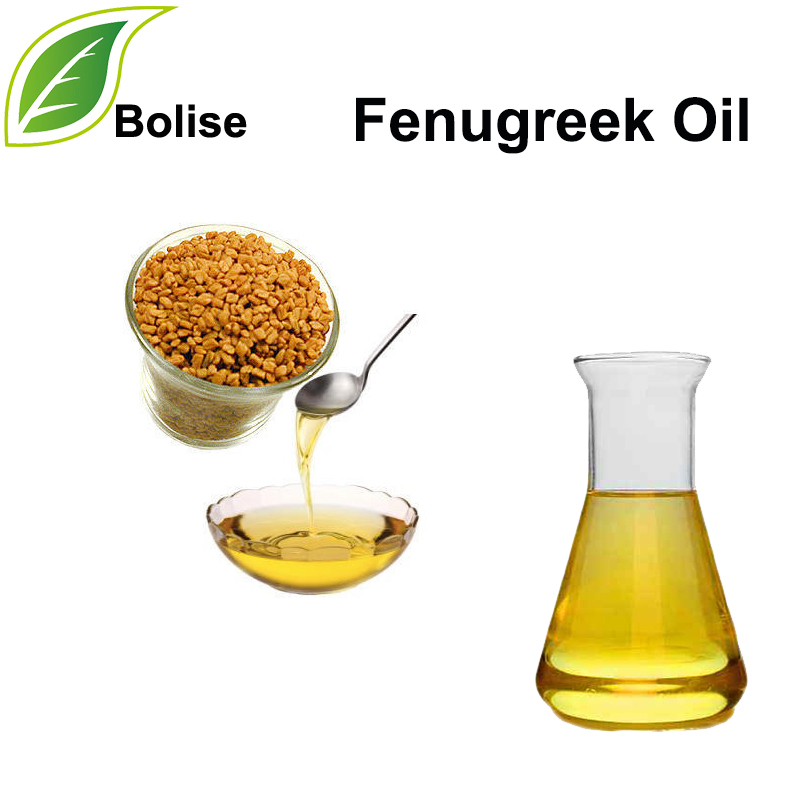 Fenugreek Oil