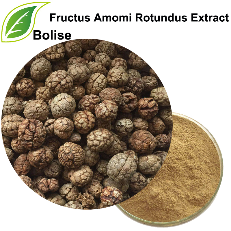 Round Cardamon Fruit Extract(Fructus Amomi Rotundus Extract)