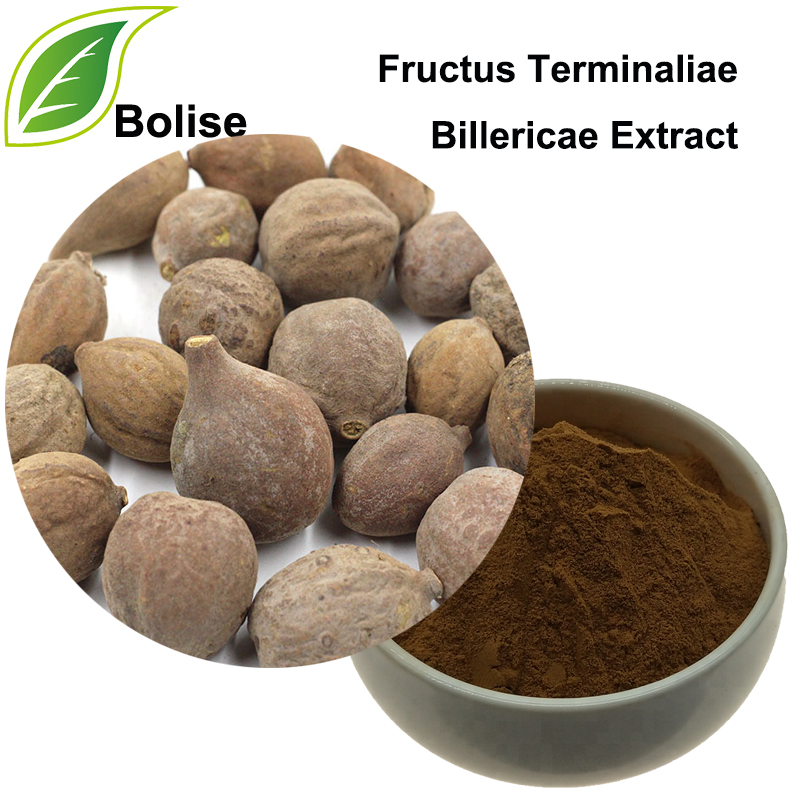 Belleric Terminalia Fruit Extract(Fructus Terminaliae Billericae Extract)