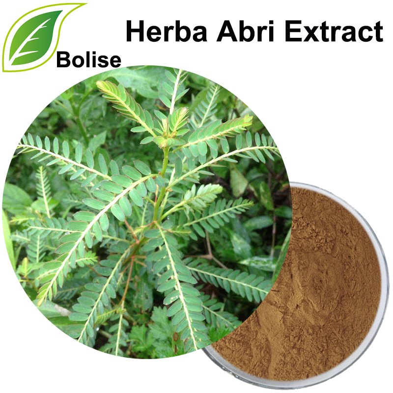 Canton Love-pes Vine Extract(Herba Abri Extract)