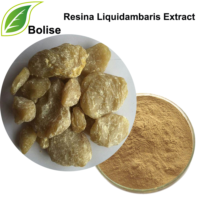 Beautiful Sweetgum Resin Extract(Resina Liquidambaris Extract)