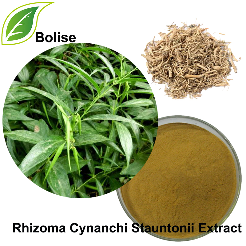 Willowleaf Swallowwort Rhizoma Extract(Rhizoma Cynanchi Stauntonii Extract)