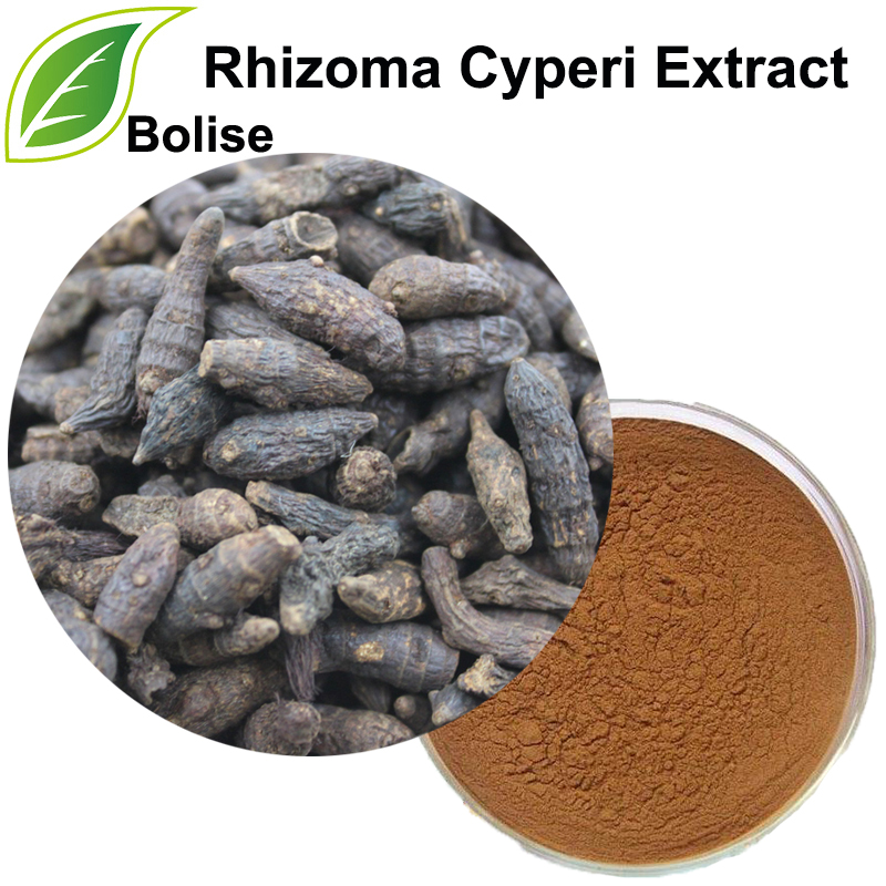Nutgrass Galingale Rhizome Extract(Rhizoma Cyperi Extract)