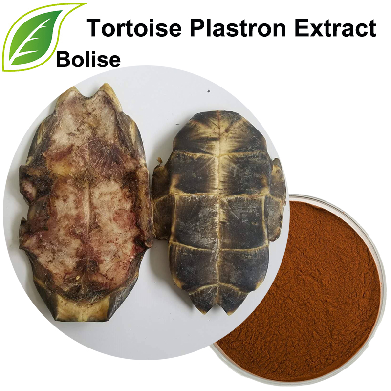 Tortoise Plastron Extract(Tortoise Shell Extract)
