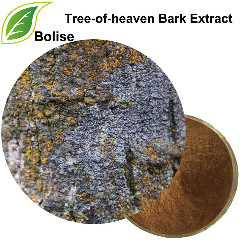 Tree-of-heaven Bark Extract(Cortex Ailanthi Extract)