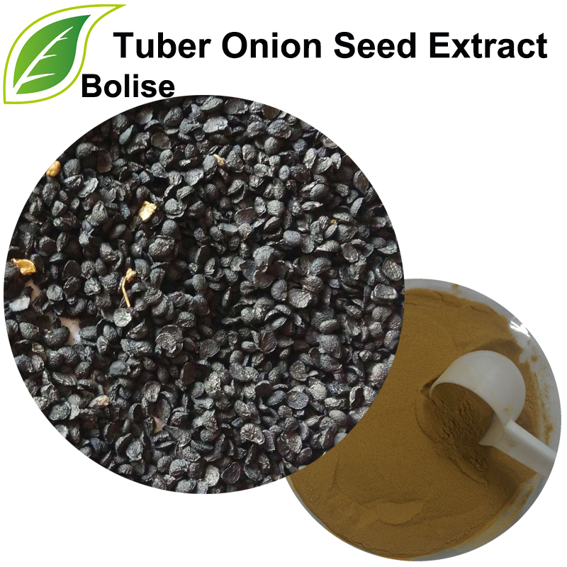 Tuber Onion Seed Extract(Leek Seed Extract)