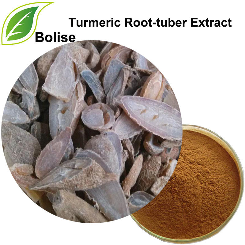 Turmeric Root-tuber Extract(Radix Curcumae Extract)