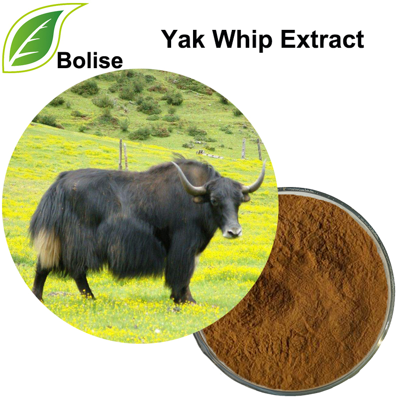 Yak Whip Extract