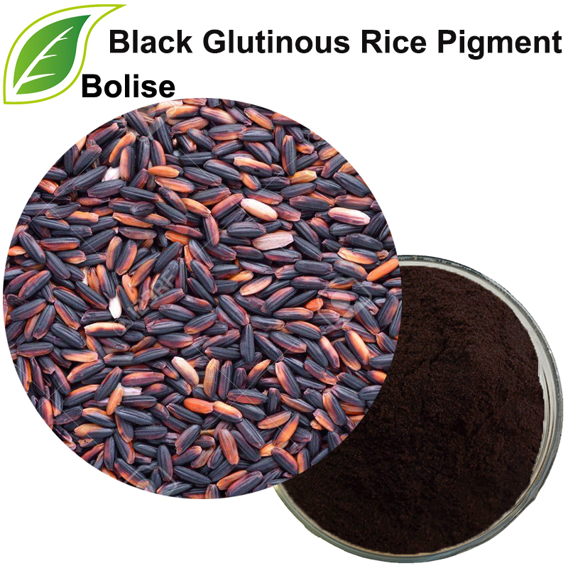 Black Glutinous Rice Pigment