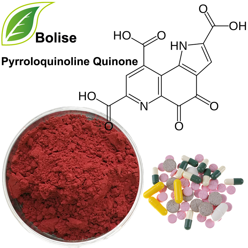 Pyrroloquinoline Quinone (PQQ)