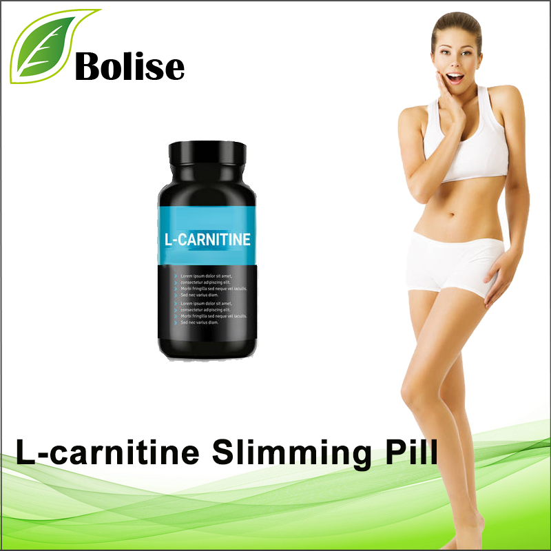 L-carnitine Slimming Pill(Slimming series)