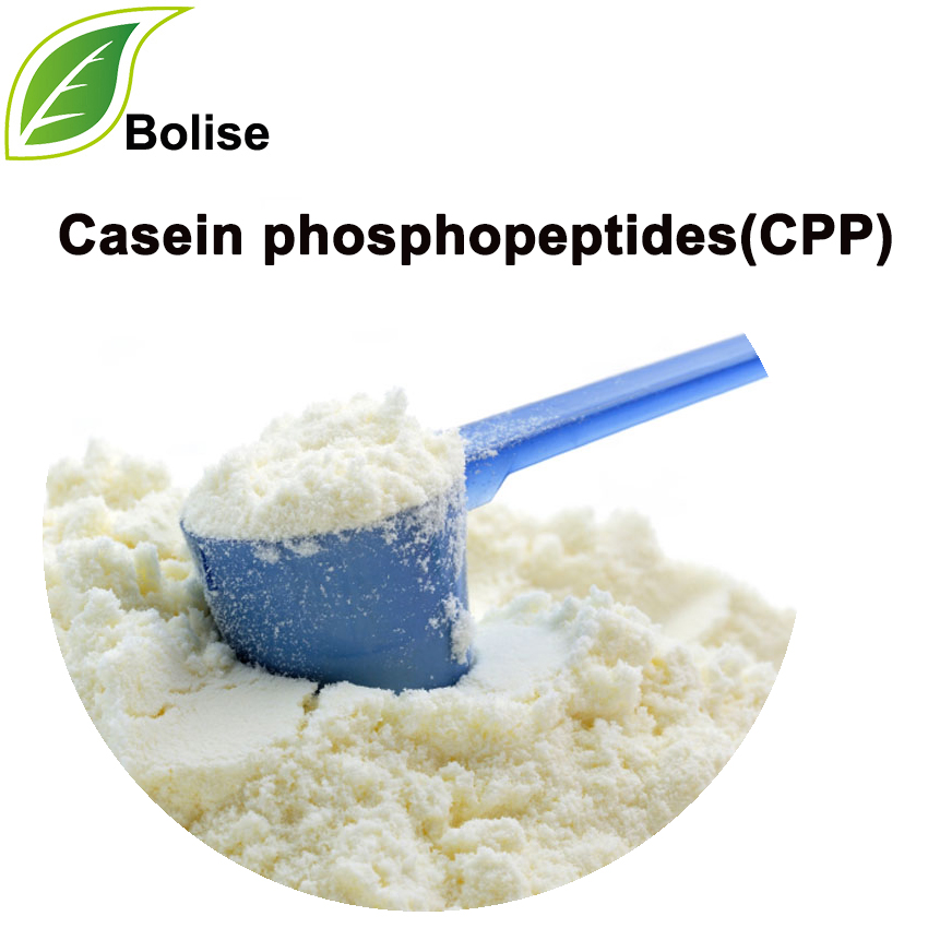Casein phosphopeptides(CPP)